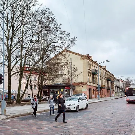 Apartamento Bazilijonu Street Vilna